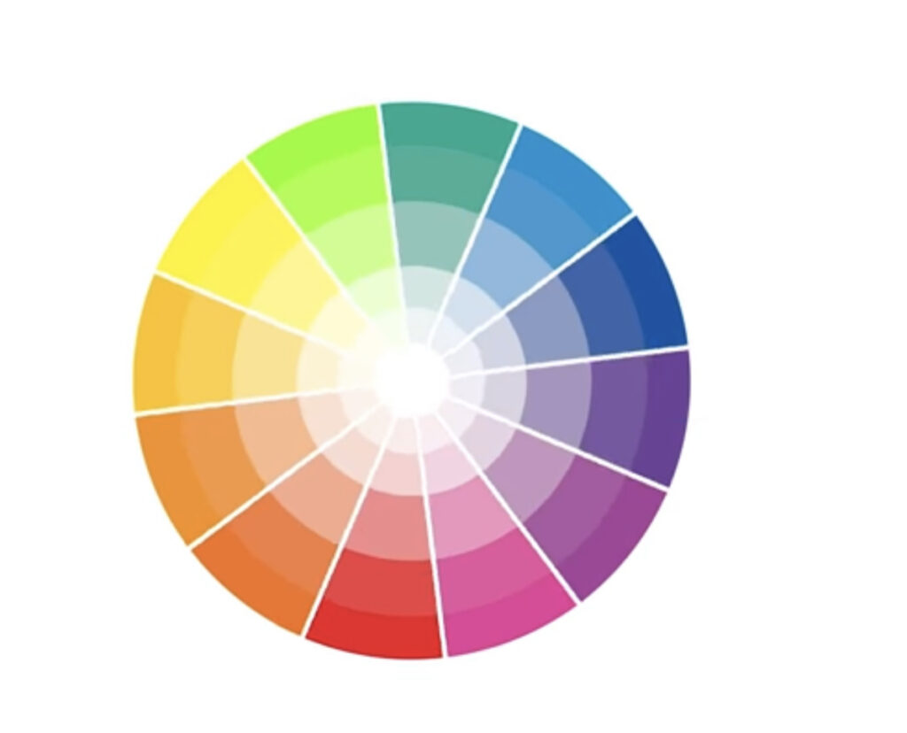 A color wheel with a spectrum of colors arranged in a circle