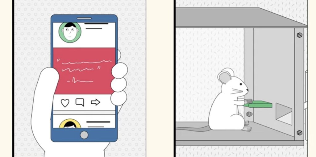 Scroll Fatigue: Strategies for Better Engagement